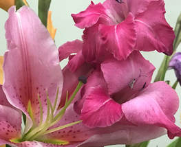 How to Thank Your Librarians-Pink Flower Bouquet
