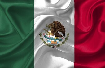 Mexican Independence Dilly Day-Mexican Flag